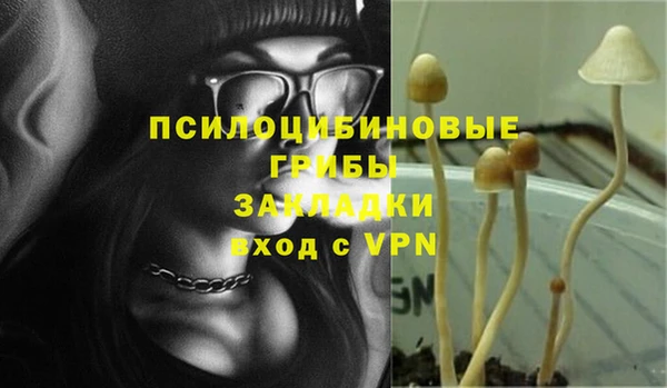ПСИЛОЦИБИНОВЫЕ ГРИБЫ Балахна