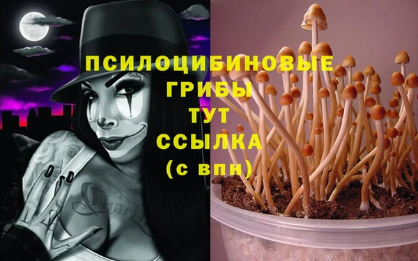 а пвп мука Ахтубинск