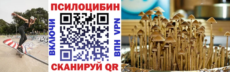 продажа наркотиков  Белоозёрский  Псилоцибиновые грибы MAGIC MUSHROOMS 